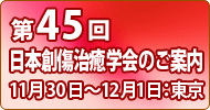 第45回日本創傷治癒学会